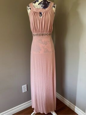 Enfocus Studio Dusty Rose Embellished Maxi Dress
